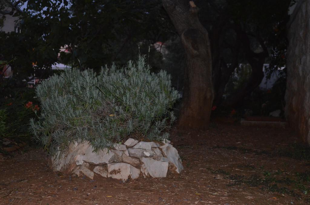 Apartmants Bubalo Trpanj Δωμάτιο φωτογραφία